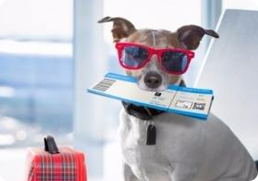 羞羞视频软件下载